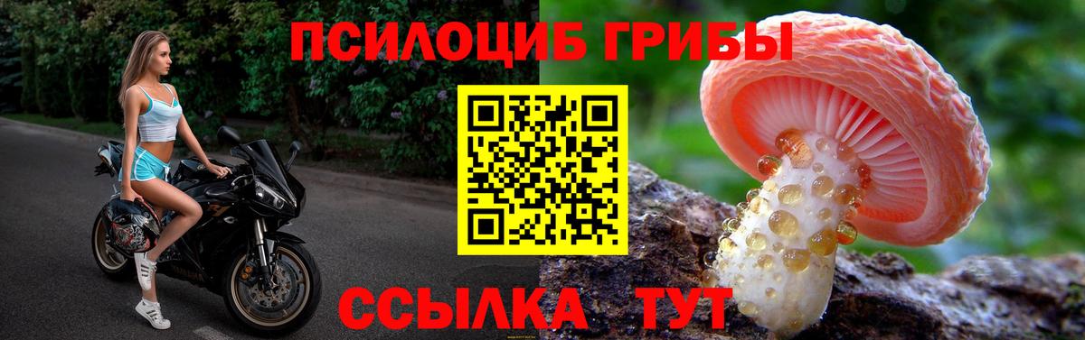 Кимовск  Галлюциногенные грибы мухоморы  сколько стоит  Вход с VPN  Галлюциногенные грибы Psilocybe 