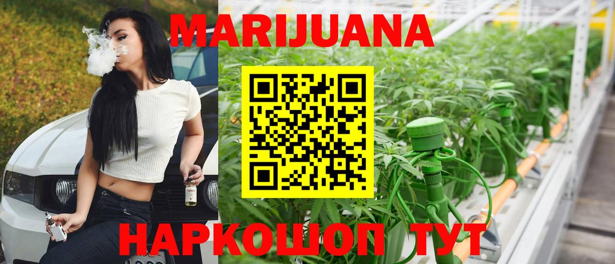 Конопля сатива  Каннабис план  Кимовск  Вход с VPN  Канабис SATIVA & INDICA 